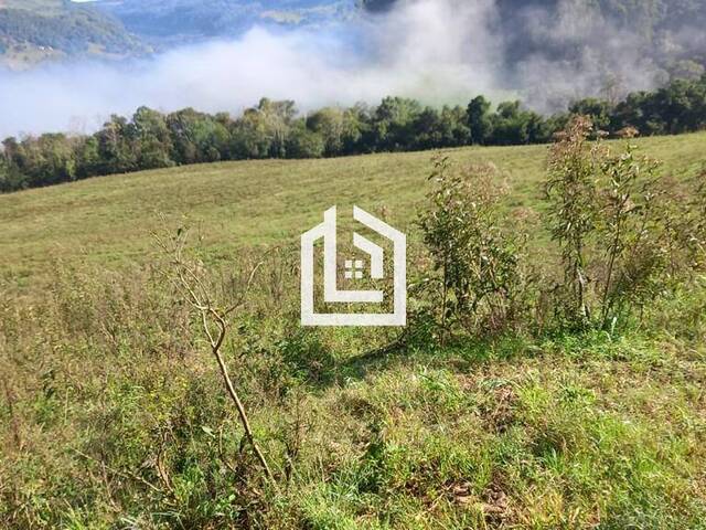 #227 - SÍTIOS/FAZENDA/ÁREA RURAL para Venda em Xanxerê - SC - 1