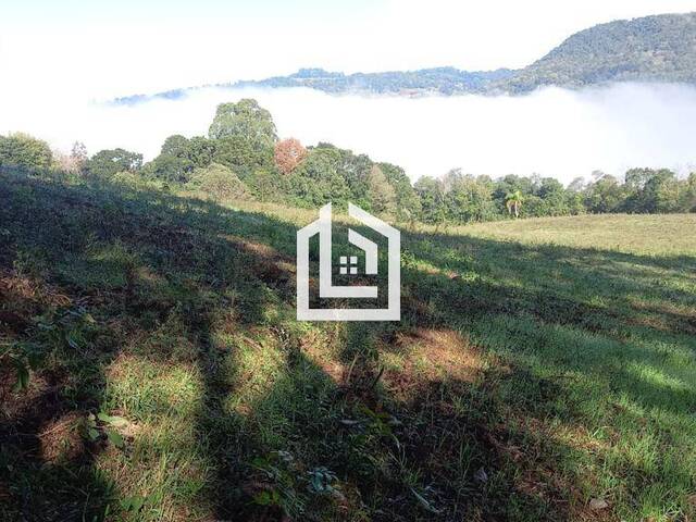 #227 - SÍTIOS/FAZENDA/ÁREA RURAL para Venda em Xanxerê - SC - 3