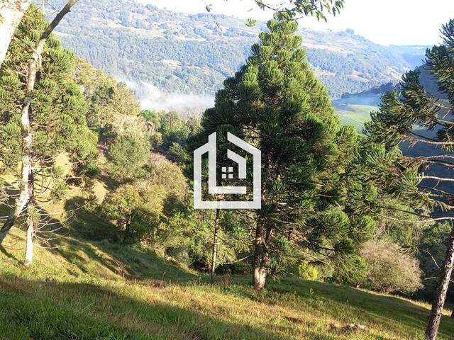 #227 - SÍTIOS/FAZENDA/ÁREA RURAL para Venda em Xanxerê - SC - 2